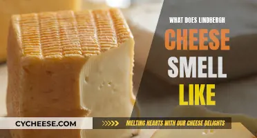 Lindbergh Cheese: A Smell Adventure