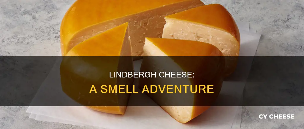 what does lindbergh cheese smell like