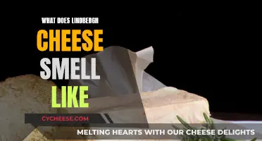 Lindbergh Cheese: A Pungent, Aromatic Adventure