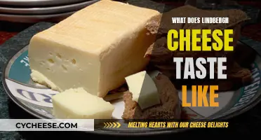 Lindbergh Cheese: A Tasty Adventure in Every Bite