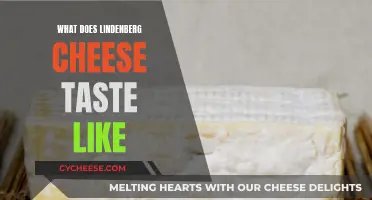 Lindenberg Cheese: A Tasty, Tangy, and Unique Flavor Profile