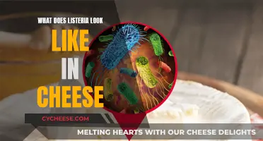 Unveiling Listeria's Hidden Presence in Cheese: A Visual Guide