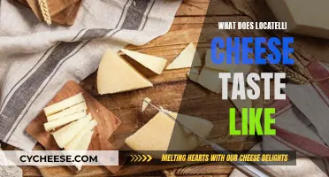 Exploring the Unique Taste of Locatelli Cheese
