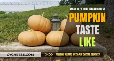 The Unique Taste of Long Island Cheese Pumpkins