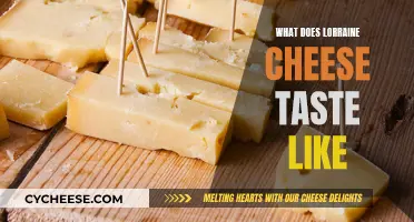 Unraveling the Unique Taste of Lorraine Cheese