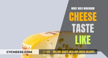 Maasdam Cheese: A Mild, Nutty, and Sweet Delight
