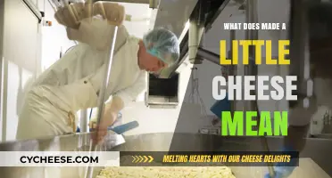 Unraveling the Meaning of 'Made a Little Cheese