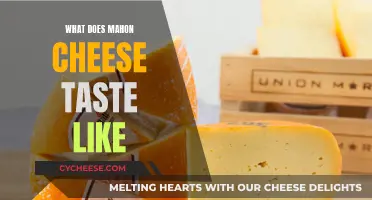 A Tasty Adventure: Exploring the Unique Flavor of Mahon Cheese