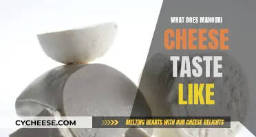 Manouri Cheese: A Mild, Creamy, and Buttery Taste