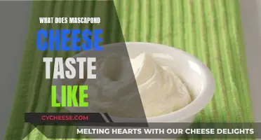 Mascarpone Cheese: Rich, Buttery, and Tangy Taste Experience