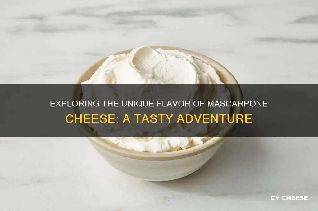 what does mascarphone cheese taste like