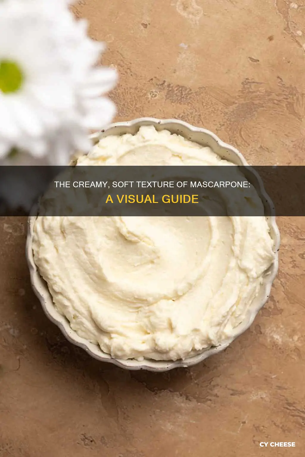 what does mascarpone cheese look like