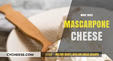 What is Mascarpone Cheese? Uses, Flavor, and Creamy Texture Explained