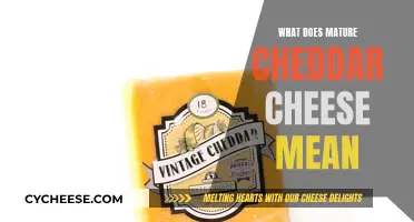 Understanding the Complexity: What Makes Cheddar 'Mature'?