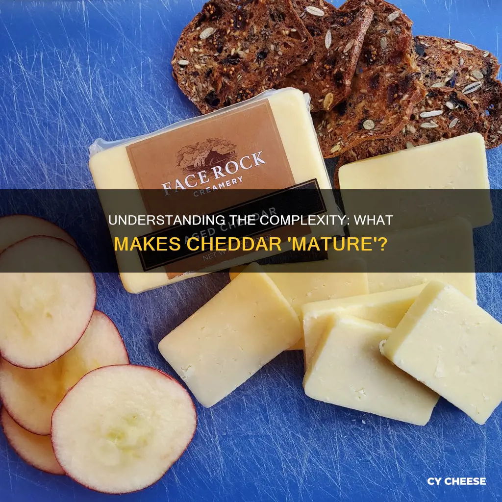 what does mature cheddar cheese mean