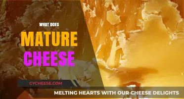 Exploring the Rich Flavors and Textures of Mature Cheese