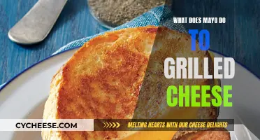 Mayo on Grilled Cheese: A Culinary Adventure