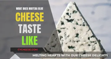 Might Blue Cheese: Exploring the Flavor of Maytag Blue