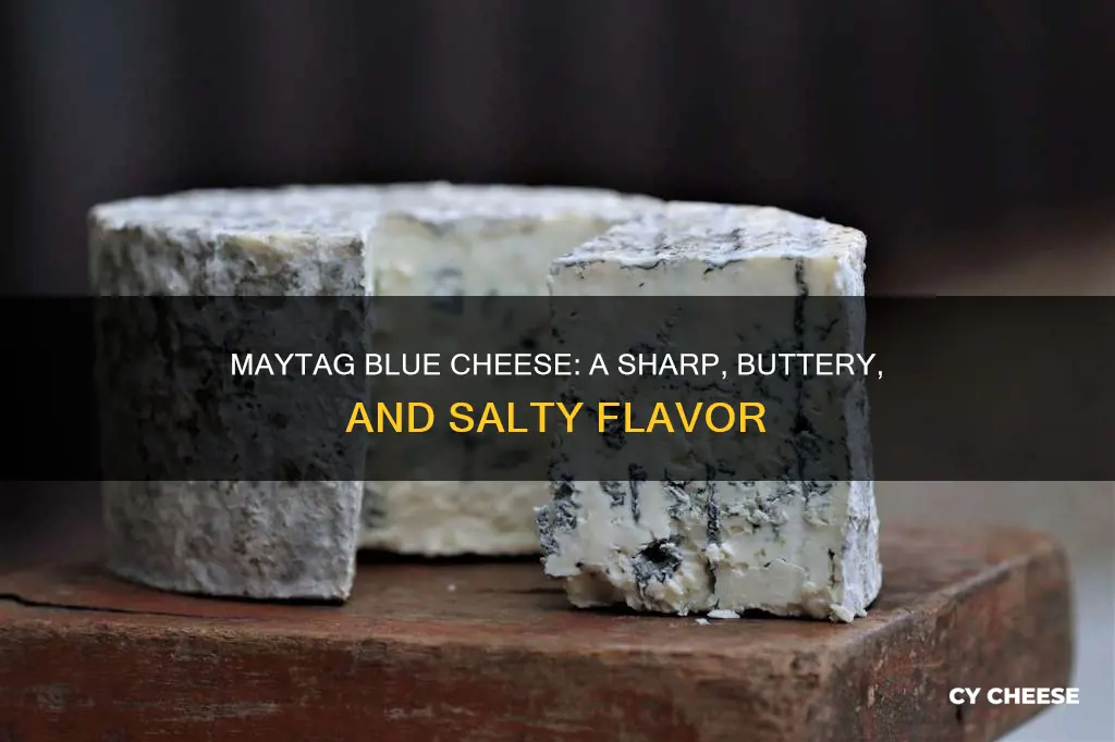 what does maytag blue cheese taste like