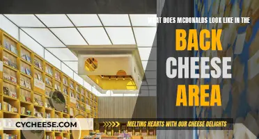 Unveiling the Secrets: A McDonald's Back Cheese Adventure