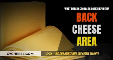 McDonald's Behind-the-Scenes: Cheese Area Explored