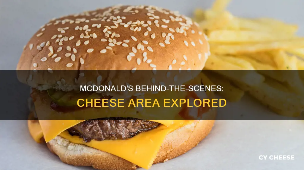 what does mcdonalds look like in the back cheese area
