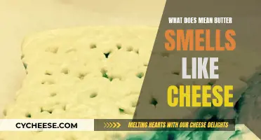 Why Does Butter Smell Like Cheese?