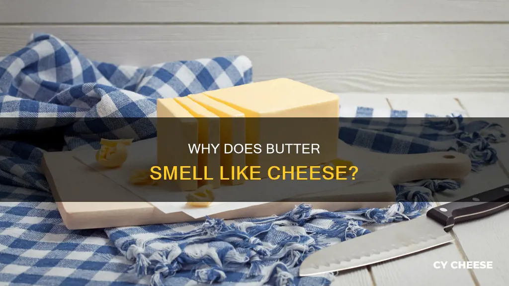 what does mean butter smells like cheese