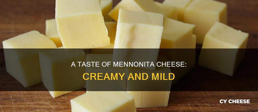 what does menonita cheese taste like