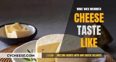 Menonita Cheese: A Unique, Nutty, and Creamy Taste Experience