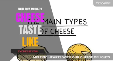 A Tasty Adventure: Exploring the Flavors of Munster Cheese