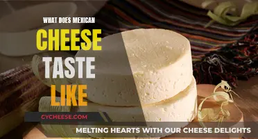 Exploring the Unique Taste of Mexican Cheese