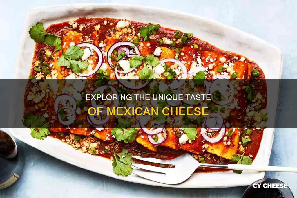 what does mexican cheese taste like