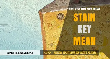 Decoding 'Mike Who Cheese Stain Key': Unraveling the Mystery Behind the Phrase