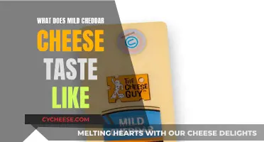 Mild Cheddar's Savory, Earthy Flavor Profile