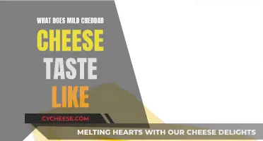 Mild Cheddar Cheese: A Smooth, Creamy, and Mild Taste