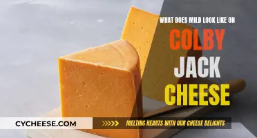 Colby Jack's Mild Marvel: Unveiling the Subtle Side of Creamy Cheese