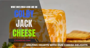 Colby-Jack Cheese: Mild Appearance, Delicious Taste