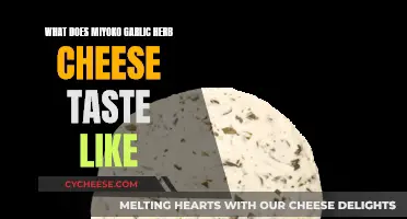 Miyoko's Garlic Herb Cheese: A Tasty, Plant-Based Adventure