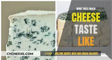 Moldy Cheese: A Delicious, Funky Flavor Adventure