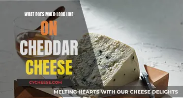 Visual Guide: Spotting Mold on Cheddar Cheese