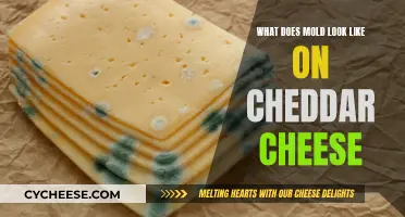 Mold on Cheddar: Identifying the Unwanted Spots