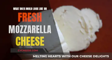 Unveiling the Mold Mystery: Fresh Mozzarella's Unseen Contaminant