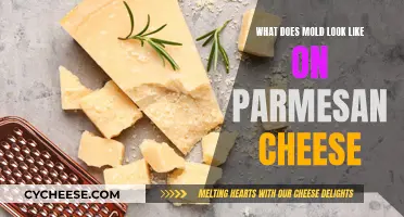 Visual Guide: Spotting Mold on Parmesan Cheese