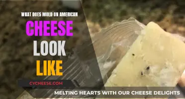 Unveiling the Mold Mystery: A Visual Guide to American Cheese's Green Spot