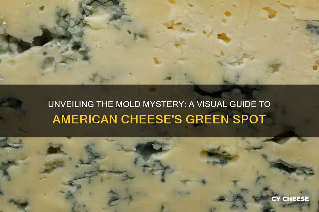 what does mold on american cheese look like