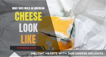 Moldy American Cheese: What Does It Look Like?