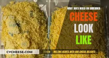 Unveiling the Mystery: Visual Guide to Mold on Shredded Cheese