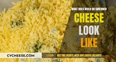 Moldy Shredded Cheese: What Does It Look Like?