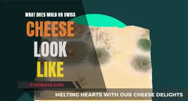 Moldy Swiss Cheese: What Does It Look Like?